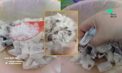 Cara Sotong Kekal Pejal Dan Tidak Berair Cara Nelayan Korea