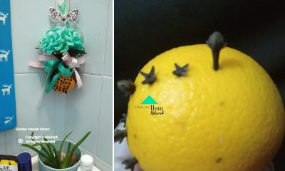 Pewangi Rumah Semulajadi Buatan Sendiri Tahan Sebulan