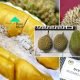 Sebelum Kita Mahu Membeli Perlu Tahu 5 Ciri Durian Musang King Untuk Mengelak Dari Ditipu