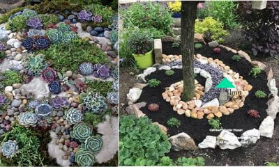 25 Projek Taman Menarik Dengan Batuan
