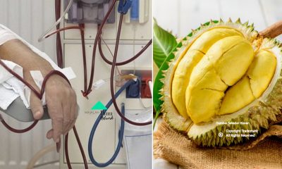 Ikuti Peringatan Dari Doktor Ini. Kandungan Potassium Pada Buah Durian Boleh Meragut Nyawa Anda Ada Seorang Pesakit Buah Pingggang Telah Meninggal Dunia Setelah Memakan Hanya Seulas