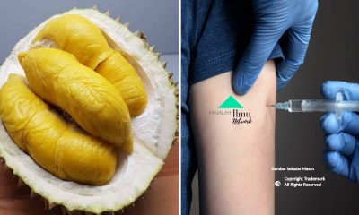 Kalau Boleh Elakkan Memakan Durian Selepas Vaksin Bagi Langkah Untuk Berjaga Jaga Ini Penjelasannya