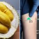 Kalau Boleh Elakkan Memakan Durian Selepas Vaksin Bagi Langkah Untuk Berjaga Jaga Ini Penjelasannya