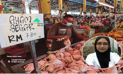 Mahu Untuk Memastikan Ayam Adakah Benar Benar Segar Dan Baru Selidik Dulu 5 Perkara Ini Sebelum Hendak Membeli