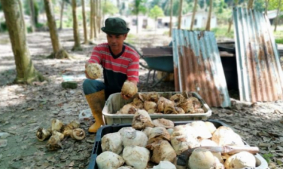 092345uuavtuul9ulk9927