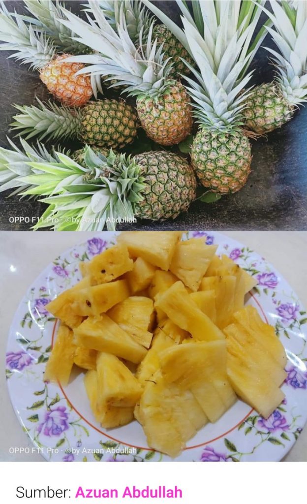 Screenshot 2022 0215 065742