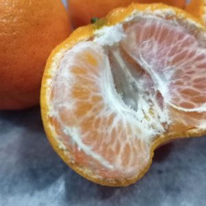 photo6327560066777067191