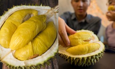 khasiat buah durian