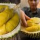 khasiat buah durian