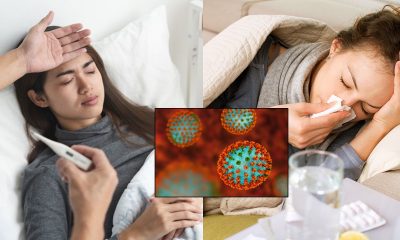 beza demam selesema dan influenza