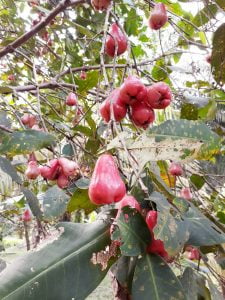 20180512 100758 23 11 381155