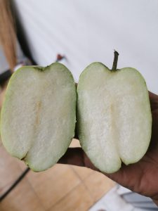 96232435 236824201065788 2706264360702967808 n