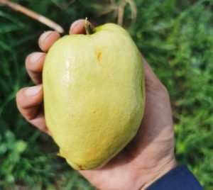 96696978 236824151065793 5652453364156334080 n e1650517650582