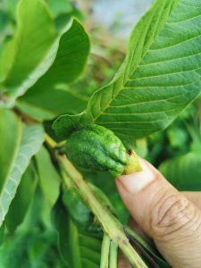 96721769 236823974399144 6168679051264262144 n