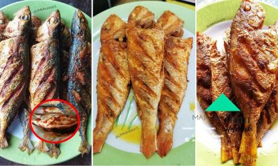 Cara Goreng Ikan Style Orang Dulu Dulu Sedap Dia Memang Lain Macam