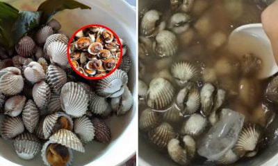 Cara Mudah Bersihkan Kerang. Hanya Guna Air Sejuk Garam Lagi Bersih Dari Guna Berus