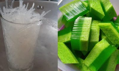 Masak Agar-Agar