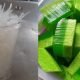 Masak Agar-Agar