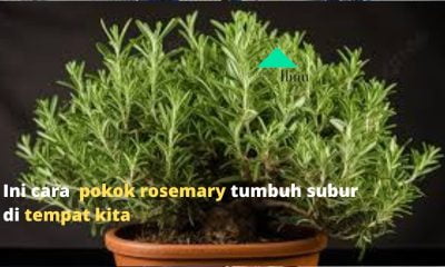 WhatsApp Image 2024 05 04 at 12.52.51 PM