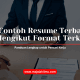 Contoh Resume Terbaik Mengikut Format Terkini