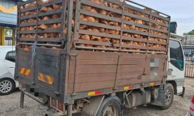 Remaja 16 Tahun Ditahan JPJ