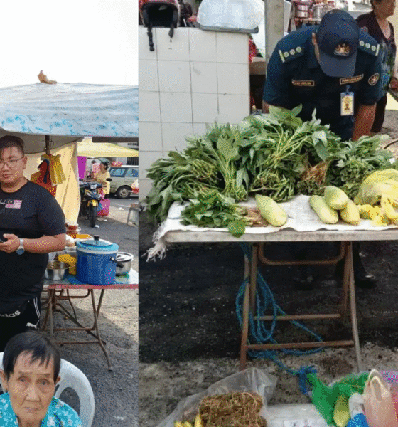 Denda RM50 Air Mata Seorang Nenek Kisah Warga Emas 90 Tahun Yang Hampir Hilang Punca Rezeki