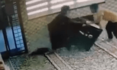 remaja pecah tabung masjid